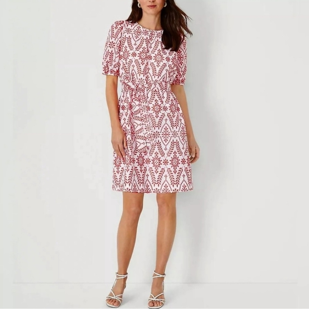 Ann Taylor Red and White Mini Dress